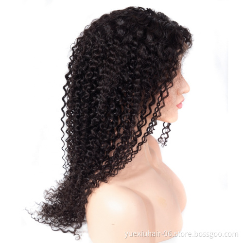 Brazilian virgin cuticle aligned hair vendors per Plucked ombre Transparent HD Lace closure 4x4 human Wig